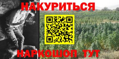 индика Будённовск
