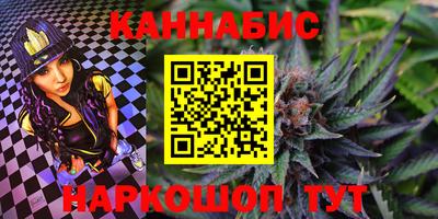 индика Будённовск