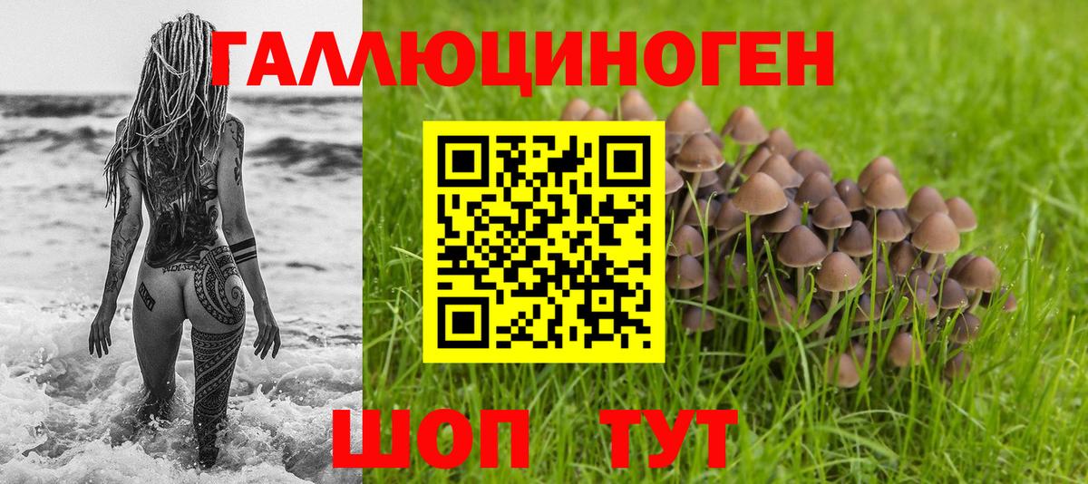 Галлюциногенные грибы ЛСД Скопин