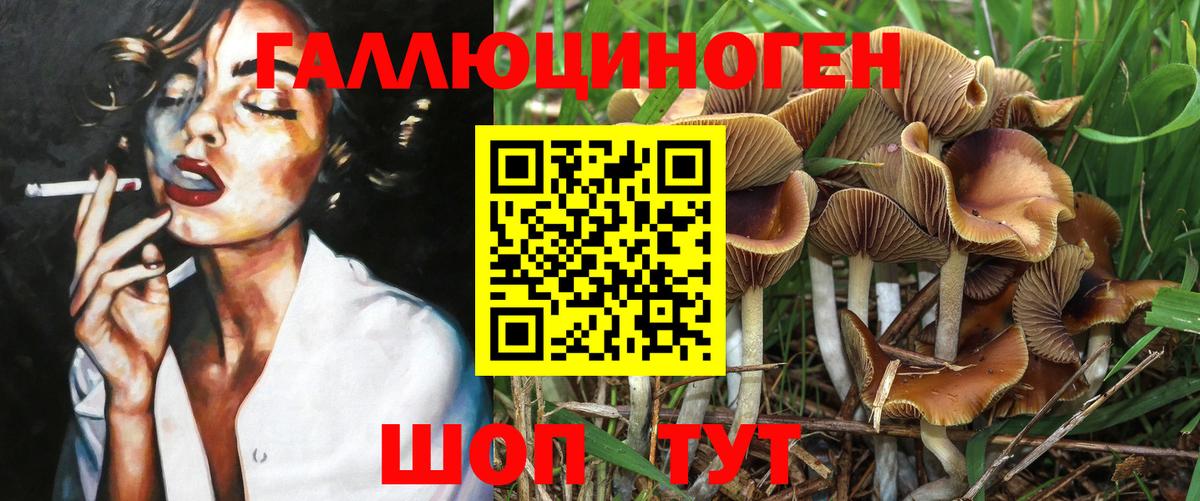 Скопин  Псилоцибиновые грибы Psilocybine cubensis  Псилоцибиновые грибы Psilocybe  Вход с VPN 